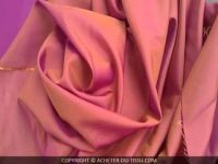 19112010139-1.jpg VISCOSE IMPRIME PLUME