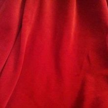 20120916_165615-1.jpg VELOURS EPONGE ROUGE