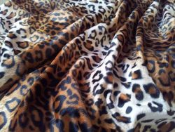 Fausse fourrure, fausse fourrure animaux, fourrure synthétique, fourrure synth. - Acheter du Tissu, acheter du tissu pas cher, acheter tissu, acheter du tissus, tissu pas cher, tissus pas cher, destockage tissus, destockage tissus pas cher, destockage de tissus pas cher, achat tissu, vente de tissus, vente de tissus en ligne, site de vente de tissus, vente de tissus au mètre, tissus au mètre, tissu au mètre original, tissu original, tissus originaux, coupon tissu gratuit, échantillon tissu gratuit, tissus au mètre pour vêtements, vente de tissus en ligne France, vente de tissus en ligne Paris, vente de tissus Paris, vente de tissus France, tissus au meilleur prix, tissus de qualité, promotion tissu, promotions tissus, mercerie, mercerie en ligne Fausse fourrure, fausse fourrure animaux, fourrure synthétique, fourrure synth. - Acheter du Tissu, acheter du tissu pas cher, acheter tissu, acheter du tissus, tissu pas cher, tissus pas cher, destockage tissus, destockage tissus pas cher, destockage de tissus pas cher, achat tissu, vente de tissus, vente de tissus en ligne, site de vente de tissus, vente de tissus au mètre, tissus au mètre, tissu au mètre original, tissu original, tissus originaux, coupon tissu gratuit, échantillon tissu gratuit, tissus au mètre pour vêtements, vente de tissus en ligne France, vente de tissus en ligne Paris, vente de tissus Paris, vente de tissus France, tissus au meilleur prix, tissus de qualité, promotion tissu, promotions tissus, mercerie, mercerie en ligne