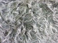 Fausse fourrure, fausse fourrure animaux, fourrure synthétique, fourrure synth. - Acheter du Tissu, acheter du tissu pas cher, acheter tissu, acheter du tissus, tissu pas cher, tissus pas cher, destockage tissus, destockage tissus pas cher, destockage de tissus pas cher, achat tissu, vente de tissus, vente de tissus en ligne, site de vente de tissus, vente de tissus au mètre, tissus au mètre, tissu au mètre original, tissu original, tissus originaux, coupon tissu gratuit, échantillon tissu gratuit, tissus au mètre pour vêtements, vente de tissus en ligne France, vente de tissus en ligne Paris, vente de tissus Paris, vente de tissus France, tissus au meilleur prix, tissus de qualité, promotion tissu, promotions tissus, mercerie, mercerie en ligne