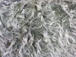 Fausse fourrure, fausse fourrure animaux, fourrure synthétique, fourrure synth. - Acheter du Tissu, acheter du tissu pas cher, acheter tissu, acheter du tissus, tissu pas cher, tissus pas cher, destockage tissus, destockage tissus pas cher, destockage de tissus pas cher, achat tissu, vente de tissus, vente de tissus en ligne, site de vente de tissus, vente de tissus au mètre, tissus au mètre, tissu au mètre original, tissu original, tissus originaux, coupon tissu gratuit, échantillon tissu gratuit, tissus au mètre pour vêtements, vente de tissus en ligne France, vente de tissus en ligne Paris, vente de tissus Paris, vente de tissus France, tissus au meilleur prix, tissus de qualité, promotion tissu, promotions tissus, mercerie, mercerie en ligne