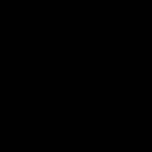 20130912_115931-1.jpg PONGE DE SOIE NOIRE