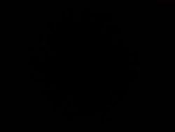 PONGE DE SOIE NOIRE