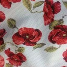 20130916_112840-1.jpg NID D'ABEILLE PIQUE COTON IMPRIME 01