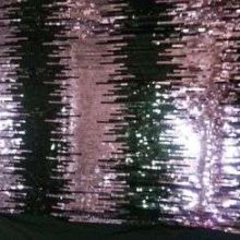 20131004_132434-1.jpg PAILLETTES NOIRES ROSES SUR JERSEY