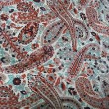 20131004_141143-1.jpg COTON IMPRIME CACHEMIRE