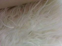 Fausse fourrure, fausse fourrure animaux, fourrure synthétique, fourrure synth. - Acheter du Tissu, acheter du tissu pas cher, acheter tissu, acheter du tissus, tissu pas cher, tissus pas cher, destockage tissus, destockage tissus pas cher, destockage de tissus pas cher, achat tissu, vente de tissus, vente de tissus en ligne, site de vente de tissus, vente de tissus au mètre, tissus au mètre, tissu au mètre original, tissu original, tissus originaux, coupon tissu gratuit, échantillon tissu gratuit, tissus au mètre pour vêtements, vente de tissus en ligne France, vente de tissus en ligne Paris, vente de tissus Paris, vente de tissus France, tissus au meilleur prix, tissus de qualité, promotion tissu, promotions tissus, mercerie, mercerie en ligne