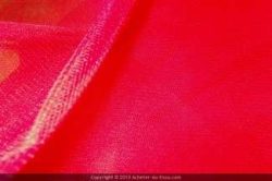 TULLE ROUGE