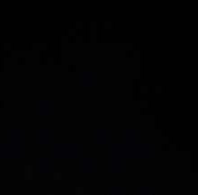 Ref1092_1-1.jpg COTON NOIR