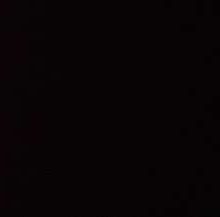 Ref4566_1-1.jpg FEUTRINE NOIR