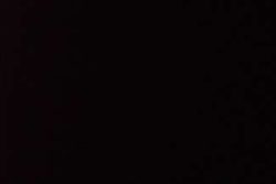 Ref4566_1-1.jpg FEUTRINE NOIR