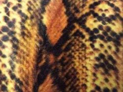Fausse fourrure, fausse fourrure animaux, fourrure synthétique, fourrure synth. - Acheter du Tissu, acheter du tissu pas cher, acheter tissu, acheter du tissus, tissu pas cher, tissus pas cher, destockage tissus, destockage tissus pas cher, destockage de tissus pas cher, achat tissu, vente de tissus, vente de tissus en ligne, site de vente de tissus, vente de tissus au mètre, tissus au mètre, tissu au mètre original, tissu original, tissus originaux, coupon tissu gratuit, échantillon tissu gratuit, tissus au mètre pour vêtements, vente de tissus en ligne France, vente de tissus en ligne Paris, vente de tissus Paris, vente de tissus France, tissus au meilleur prix, tissus de qualité, promotion tissu, promotions tissus, mercerie, mercerie en ligne