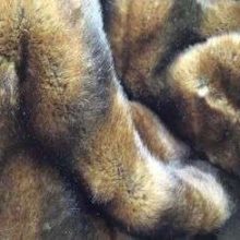 Fausse fourrure, fausse fourrure animaux, fourrure synthétique, fourrure synth. - Acheter du Tissu, acheter du tissu pas cher, acheter tissu, acheter du tissus, tissu pas cher, tissus pas cher, destockage tissus, destockage tissus pas cher, destockage de tissus pas cher, achat tissu, vente de tissus, vente de tissus en ligne, site de vente de tissus, vente de tissus au mètre, tissus au mètre, tissu au mètre original, tissu original, tissus originaux, coupon tissu gratuit, échantillon tissu gratuit, tissus au mètre pour vêtements, vente de tissus en ligne France, vente de tissus en ligne Paris, vente de tissus Paris, vente de tissus France, tissus au meilleur prix, tissus de qualité, promotion tissu, promotions tissus, mercerie, mercerie en ligne Fausse fourrure, fausse fourrure animaux, fourrure synthétique, fourrure synth. - Acheter du Tissu, acheter du tissu pas cher, acheter tissu, acheter du tissus, tissu pas cher, tissus pas cher, destockage tissus, destockage tissus pas cher, destockage de tissus pas cher, achat tissu, vente de tissus, vente de tissus en ligne, site de vente de tissus, vente de tissus au mètre, tissus au mètre, tissu au mètre original, tissu original, tissus originaux, coupon tissu gratuit, échantillon tissu gratuit, tissus au mètre pour vêtements, vente de tissus en ligne France, vente de tissus en ligne Paris, vente de tissus Paris, vente de tissus France, tissus au meilleur prix, tissus de qualité, promotion tissu, promotions tissus, mercerie, mercerie en ligne