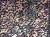 Tissu dentelle, tissus dentelle, tissu dentelle perlée, dentelle perlée, tissus dentelle perlée - Acheter du Tissu, acheter du tissu pas cher, acheter tissu, acheter du tissus, tissu pas cher, tissus pas cher, destockage tissus, destockage tissus pas cher, destockage de tissus pas cher, achat tissu, vente de tissus, vente de tissus en ligne, site de vente de tissus, vente de tissus au mètre, tissus au mètre, tissu au mètre original, tissu original, tissus originaux, coupon tissu gratuit, échantillon tissu gratuit, tissus au mètre pour vêtements, vente de tissus en ligne France, vente de tissus en ligne Paris, vente de tissus Paris, vente de tissus France, tissus au meilleur prix, tissus de qualité, promotion tissu, promotions tissus, mercerie, mercerie en ligne