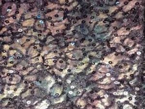 Tissu dentelle, tissus dentelle, tissu dentelle perlée, dentelle perlée, tissus dentelle perlée - Acheter du Tissu, acheter du tissu pas cher, acheter tissu, acheter du tissus, tissu pas cher, tissus pas cher, destockage tissus, destockage tissus pas cher, destockage de tissus pas cher, achat tissu, vente de tissus, vente de tissus en ligne, site de vente de tissus, vente de tissus au mètre, tissus au mètre, tissu au mètre original, tissu original, tissus originaux, coupon tissu gratuit, échantillon tissu gratuit, tissus au mètre pour vêtements, vente de tissus en ligne France, vente de tissus en ligne Paris, vente de tissus Paris, vente de tissus France, tissus au meilleur prix, tissus de qualité, promotion tissu, promotions tissus, mercerie, mercerie en ligne