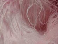 Fausse fourrure, fausse fourrure animaux, fourrure synthétique, fourrure synth. - Acheter du Tissu, acheter du tissu pas cher, acheter tissu, acheter du tissus, tissu pas cher, tissus pas cher, destockage tissus, destockage tissus pas cher, destockage de tissus pas cher, achat tissu, vente de tissus, vente de tissus en ligne, site de vente de tissus, vente de tissus au mètre, tissus au mètre, tissu au mètre original, tissu original, tissus originaux, coupon tissu gratuit, échantillon tissu gratuit, tissus au mètre pour vêtements, vente de tissus en ligne France, vente de tissus en ligne Paris, vente de tissus Paris, vente de tissus France, tissus au meilleur prix, tissus de qualité, promotion tissu, promotions tissus, mercerie, mercerie en ligne