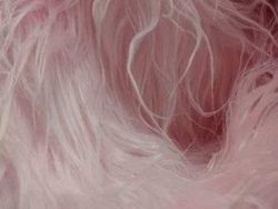 Fausse fourrure, fausse fourrure animaux, fourrure synthétique, fourrure synth. - Acheter du Tissu, acheter du tissu pas cher, acheter tissu, acheter du tissus, tissu pas cher, tissus pas cher, destockage tissus, destockage tissus pas cher, destockage de tissus pas cher, achat tissu, vente de tissus, vente de tissus en ligne, site de vente de tissus, vente de tissus au mètre, tissus au mètre, tissu au mètre original, tissu original, tissus originaux, coupon tissu gratuit, échantillon tissu gratuit, tissus au mètre pour vêtements, vente de tissus en ligne France, vente de tissus en ligne Paris, vente de tissus Paris, vente de tissus France, tissus au meilleur prix, tissus de qualité, promotion tissu, promotions tissus, mercerie, mercerie en ligne