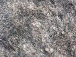 Fausse fourrure, fausse fourrure animaux, fourrure synthétique, fourrure synth. - Acheter du Tissu, acheter du tissu pas cher, acheter tissu, acheter du tissus, tissu pas cher, tissus pas cher, destockage tissus, destockage tissus pas cher, destockage de tissus pas cher, achat tissu, vente de tissus, vente de tissus en ligne, site de vente de tissus, vente de tissus au mètre, tissus au mètre, tissu au mètre original, tissu original, tissus originaux, coupon tissu gratuit, échantillon tissu gratuit, tissus au mètre pour vêtements, vente de tissus en ligne France, vente de tissus en ligne Paris, vente de tissus Paris, vente de tissus France, tissus au meilleur prix, tissus de qualité, promotion tissu, promotions tissus, mercerie, mercerie en ligne Fausse fourrure, fausse fourrure animaux, fourrure synthétique, fourrure synth. - Acheter du Tissu, acheter du tissu pas cher, acheter tissu, acheter du tissus, tissu pas cher, tissus pas cher, destockage tissus, destockage tissus pas cher, destockage de tissus pas cher, achat tissu, vente de tissus, vente de tissus en ligne, site de vente de tissus, vente de tissus au mètre, tissus au mètre, tissu au mètre original, tissu original, tissus originaux, coupon tissu gratuit, échantillon tissu gratuit, tissus au mètre pour vêtements, vente de tissus en ligne France, vente de tissus en ligne Paris, vente de tissus Paris, vente de tissus France, tissus au meilleur prix, tissus de qualité, promotion tissu, promotions tissus, mercerie, mercerie en ligne