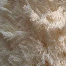 Fausse fourrure, fausse fourrure animaux, fourrure synthétique, fourrure synth. - Acheter du Tissu, acheter du tissu pas cher, acheter tissu, acheter du tissus, tissu pas cher, tissus pas cher, destockage tissus, destockage tissus pas cher, destockage de tissus pas cher, achat tissu, vente de tissus, vente de tissus en ligne, site de vente de tissus, vente de tissus au mètre, tissus au mètre, tissu au mètre original, tissu original, tissus originaux, coupon tissu gratuit, échantillon tissu gratuit, tissus au mètre pour vêtements, vente de tissus en ligne France, vente de tissus en ligne Paris, vente de tissus Paris, vente de tissus France, tissus au meilleur prix, tissus de qualité, promotion tissu, promotions tissus, mercerie, mercerie en ligne Fausse fourrure, fausse fourrure animaux, fourrure synthétique, fourrure synth. - Acheter du Tissu, acheter du tissu pas cher, acheter tissu, acheter du tissus, tissu pas cher, tissus pas cher, destockage tissus, destockage tissus pas cher, destockage de tissus pas cher, achat tissu, vente de tissus, vente de tissus en ligne, site de vente de tissus, vente de tissus au mètre, tissus au mètre, tissu au mètre original, tissu original, tissus originaux, coupon tissu gratuit, échantillon tissu gratuit, tissus au mètre pour vêtements, vente de tissus en ligne France, vente de tissus en ligne Paris, vente de tissus Paris, vente de tissus France, tissus au meilleur prix, tissus de qualité, promotion tissu, promotions tissus, mercerie, mercerie en ligne