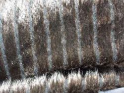 Fausse fourrure, fausse fourrure animaux, fourrure synthétique, fourrure synth. - Acheter du Tissu, acheter du tissu pas cher, acheter tissu, acheter du tissus, tissu pas cher, tissus pas cher, destockage tissus, destockage tissus pas cher, destockage de tissus pas cher, achat tissu, vente de tissus, vente de tissus en ligne, site de vente de tissus, vente de tissus au mètre, tissus au mètre, tissu au mètre original, tissu original, tissus originaux, coupon tissu gratuit, échantillon tissu gratuit, tissus au mètre pour vêtements, vente de tissus en ligne France, vente de tissus en ligne Paris, vente de tissus Paris, vente de tissus France, tissus au meilleur prix, tissus de qualité, promotion tissu, promotions tissus, mercerie, mercerie en ligne