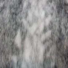 Fausse fourrure, fausse fourrure animaux, fourrure synthétique, fourrure synth. - Acheter du Tissu, acheter du tissu pas cher, acheter tissu, acheter du tissus, tissu pas cher, tissus pas cher, destockage tissus, destockage tissus pas cher, destockage de tissus pas cher, achat tissu, vente de tissus, vente de tissus en ligne, site de vente de tissus, vente de tissus au mètre, tissus au mètre, tissu au mètre original, tissu original, tissus originaux, coupon tissu gratuit, échantillon tissu gratuit, tissus au mètre pour vêtements, vente de tissus en ligne France, vente de tissus en ligne Paris, vente de tissus Paris, vente de tissus France, tissus au meilleur prix, tissus de qualité, promotion tissu, promotions tissus, mercerie, mercerie en ligne Fausse fourrure, fausse fourrure animaux, fourrure synthétique, fourrure synth. - Acheter du Tissu, acheter du tissu pas cher, acheter tissu, acheter du tissus, tissu pas cher, tissus pas cher, destockage tissus, destockage tissus pas cher, destockage de tissus pas cher, achat tissu, vente de tissus, vente de tissus en ligne, site de vente de tissus, vente de tissus au mètre, tissus au mètre, tissu au mètre original, tissu original, tissus originaux, coupon tissu gratuit, échantillon tissu gratuit, tissus au mètre pour vêtements, vente de tissus en ligne France, vente de tissus en ligne Paris, vente de tissus Paris, vente de tissus France, tissus au meilleur prix, tissus de qualité, promotion tissu, promotions tissus, mercerie, mercerie en ligne