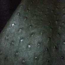 acheter_du_tissu_203-1.jpg SIMILI CUIR VERT BRONZE IMPRIME AUTRUCHE