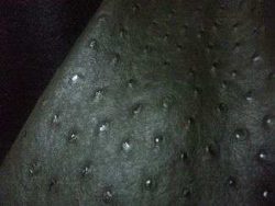 SIMILI CUIR VERT BRONZE IMPRIME AUTRUCHE