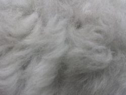 Fausse fourrure, fausse fourrure animaux, fourrure synthétique, fourrure synth. - Acheter du Tissu, acheter du tissu pas cher, acheter tissu, acheter du tissus, tissu pas cher, tissus pas cher, destockage tissus, destockage tissus pas cher, destockage de tissus pas cher, achat tissu, vente de tissus, vente de tissus en ligne, site de vente de tissus, vente de tissus au mètre, tissus au mètre, tissu au mètre original, tissu original, tissus originaux, coupon tissu gratuit, échantillon tissu gratuit, tissus au mètre pour vêtements, vente de tissus en ligne France, vente de tissus en ligne Paris, vente de tissus Paris, vente de tissus France, tissus au meilleur prix, tissus de qualité, promotion tissu, promotions tissus, mercerie, mercerie en ligne Fausse fourrure, fausse fourrure animaux, fourrure synthétique, fourrure synth. - Acheter du Tissu, acheter du tissu pas cher, acheter tissu, acheter du tissus, tissu pas cher, tissus pas cher, destockage tissus, destockage tissus pas cher, destockage de tissus pas cher, achat tissu, vente de tissus, vente de tissus en ligne, site de vente de tissus, vente de tissus au mètre, tissus au mètre, tissu au mètre original, tissu original, tissus originaux, coupon tissu gratuit, échantillon tissu gratuit, tissus au mètre pour vêtements, vente de tissus en ligne France, vente de tissus en ligne Paris, vente de tissus Paris, vente de tissus France, tissus au meilleur prix, tissus de qualité, promotion tissu, promotions tissus, mercerie, mercerie en ligne