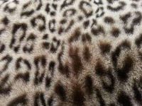 Fausse fourrure, fausse fourrure animaux, fourrure synthétique, fourrure synth. - Acheter du Tissu, acheter du tissu pas cher, acheter tissu, acheter du tissus, tissu pas cher, tissus pas cher, destockage tissus, destockage tissus pas cher, destockage de tissus pas cher, achat tissu, vente de tissus, vente de tissus en ligne, site de vente de tissus, vente de tissus au mètre, tissus au mètre, tissu au mètre original, tissu original, tissus originaux, coupon tissu gratuit, échantillon tissu gratuit, tissus au mètre pour vêtements, vente de tissus en ligne France, vente de tissus en ligne Paris, vente de tissus Paris, vente de tissus France, tissus au meilleur prix, tissus de qualité, promotion tissu, promotions tissus, mercerie, mercerie en ligne
