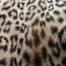 Fausse fourrure, fausse fourrure animaux, fourrure synthétique, fourrure synth. - Acheter du Tissu, acheter du tissu pas cher, acheter tissu, acheter du tissus, tissu pas cher, tissus pas cher, destockage tissus, destockage tissus pas cher, destockage de tissus pas cher, achat tissu, vente de tissus, vente de tissus en ligne, site de vente de tissus, vente de tissus au mètre, tissus au mètre, tissu au mètre original, tissu original, tissus originaux, coupon tissu gratuit, échantillon tissu gratuit, tissus au mètre pour vêtements, vente de tissus en ligne France, vente de tissus en ligne Paris, vente de tissus Paris, vente de tissus France, tissus au meilleur prix, tissus de qualité, promotion tissu, promotions tissus, mercerie, mercerie en ligne Fausse fourrure, fausse fourrure animaux, fourrure synthétique, fourrure synth. - Acheter du Tissu, acheter du tissu pas cher, acheter tissu, acheter du tissus, tissu pas cher, tissus pas cher, destockage tissus, destockage tissus pas cher, destockage de tissus pas cher, achat tissu, vente de tissus, vente de tissus en ligne, site de vente de tissus, vente de tissus au mètre, tissus au mètre, tissu au mètre original, tissu original, tissus originaux, coupon tissu gratuit, échantillon tissu gratuit, tissus au mètre pour vêtements, vente de tissus en ligne France, vente de tissus en ligne Paris, vente de tissus Paris, vente de tissus France, tissus au meilleur prix, tissus de qualité, promotion tissu, promotions tissus, mercerie, mercerie en ligne