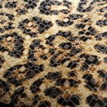 acheter_du_tissu_2940-1.jpg SATIN DE COTON IMPRIME LEOPARD PAILLETE