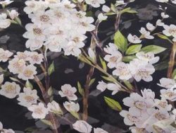 acheter_du_tissu_3214-1.jpg MOUSSELINE DE SOIE IMPRIMEE 20