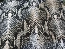 acheter_du_tissu_3684-1.jpg SIMILI CUIR IMPRIME SERPENT GRIS NOIR