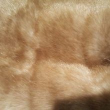 acheter_du_tissu_3943-1.jpg FOURRURE SYNTHETIQUE BEIGE