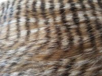 Fausse fourrure, fausse fourrure animaux, fourrure synthétique, fourrure synth. - Acheter du Tissu, acheter du tissu pas cher, acheter tissu, acheter du tissus, tissu pas cher, tissus pas cher, destockage tissus, destockage tissus pas cher, destockage de tissus pas cher, achat tissu, vente de tissus, vente de tissus en ligne, site de vente de tissus, vente de tissus au mètre, tissus au mètre, tissu au mètre original, tissu original, tissus originaux, coupon tissu gratuit, échantillon tissu gratuit, tissus au mètre pour vêtements, vente de tissus en ligne France, vente de tissus en ligne Paris, vente de tissus Paris, vente de tissus France, tissus au meilleur prix, tissus de qualité, promotion tissu, promotions tissus, mercerie, mercerie en ligne