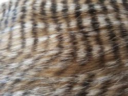 Fausse fourrure, fausse fourrure animaux, fourrure synthétique, fourrure synth. - Acheter du Tissu, acheter du tissu pas cher, acheter tissu, acheter du tissus, tissu pas cher, tissus pas cher, destockage tissus, destockage tissus pas cher, destockage de tissus pas cher, achat tissu, vente de tissus, vente de tissus en ligne, site de vente de tissus, vente de tissus au mètre, tissus au mètre, tissu au mètre original, tissu original, tissus originaux, coupon tissu gratuit, échantillon tissu gratuit, tissus au mètre pour vêtements, vente de tissus en ligne France, vente de tissus en ligne Paris, vente de tissus Paris, vente de tissus France, tissus au meilleur prix, tissus de qualité, promotion tissu, promotions tissus, mercerie, mercerie en ligne