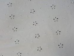 Broderie anglaise, tissu broderie, tissus broderie, broderies anglaise, tissu broderie blanc, broderie blanche, broderies blanches - Acheter du Tissu, acheter du tissu pas cher, acheter tissu, acheter du tissus, tissu pas cher, tissus pas cher, destockage tissus, destockage tissus pas cher, destockage de tissus pas cher, achat tissu, vente de tissus, vente de tissus en ligne, site de vente de tissus, vente de tissus au mètre, tissus au mètre, tissu au mètre original, tissu original, tissus originaux, coupon tissu gratuit, échantillon tissu gratuit, tissus au mètre pour vêtements, vente de tissus en ligne France, vente de tissus en ligne Paris, vente de tissus Paris, vente de tissus France, tissus au meilleur prix, tissus de qualité, promotion tissu, promotions tissus, mercerie, mercerie en ligne