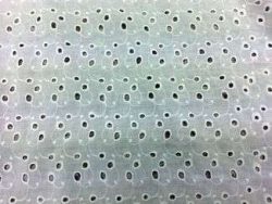 Broderie anglaise, tissu broderie, tissus broderie, broderies anglaise, tissu broderie blanc, broderie blanche, broderies blanches - Acheter du Tissu, acheter du tissu pas cher, acheter tissu, acheter du tissus, tissu pas cher, tissus pas cher, destockage tissus, destockage tissus pas cher, destockage de tissus pas cher, achat tissu, vente de tissus, vente de tissus en ligne, site de vente de tissus, vente de tissus au mètre, tissus au mètre, tissu au mètre original, tissu original, tissus originaux, coupon tissu gratuit, échantillon tissu gratuit, tissus au mètre pour vêtements, vente de tissus en ligne France, vente de tissus en ligne Paris, vente de tissus Paris, vente de tissus France, tissus au meilleur prix, tissus de qualité, promotion tissu, promotions tissus, mercerie, mercerie en ligne Broderie anglaise, tissu broderie, tissus broderie, broderies anglaise, tissu broderie blanc, broderie blanche, broderies blanches - Acheter du Tissu, acheter du tissu pas cher, acheter tissu, acheter du tissus, tissu pas cher, tissus pas cher, destockage tissus, destockage tissus pas cher, destockage de tissus pas cher, achat tissu, vente de tissus, vente de tissus en ligne, site de vente de tissus, vente de tissus au mètre, tissus au mètre, tissu au mètre original, tissu original, tissus originaux, coupon tissu gratuit, échantillon tissu gratuit, tissus au mètre pour vêtements, vente de tissus en ligne France, vente de tissus en ligne Paris, vente de tissus Paris, vente de tissus France, tissus au meilleur prix, tissus de qualité, promotion tissu, promotions tissus, mercerie, mercerie en ligne