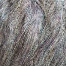 Fausse fourrure, fausse fourrure animaux, fourrure synthétique, fourrure synth. - Acheter du Tissu, acheter du tissu pas cher, acheter tissu, acheter du tissus, tissu pas cher, tissus pas cher, destockage tissus, destockage tissus pas cher, destockage de tissus pas cher, achat tissu, vente de tissus, vente de tissus en ligne, site de vente de tissus, vente de tissus au mètre, tissus au mètre, tissu au mètre original, tissu original, tissus originaux, coupon tissu gratuit, échantillon tissu gratuit, tissus au mètre pour vêtements, vente de tissus en ligne France, vente de tissus en ligne Paris, vente de tissus Paris, vente de tissus France, tissus au meilleur prix, tissus de qualité, promotion tissu, promotions tissus, mercerie, mercerie en ligne Fausse fourrure, fausse fourrure animaux, fourrure synthétique, fourrure synth. - Acheter du Tissu, acheter du tissu pas cher, acheter tissu, acheter du tissus, tissu pas cher, tissus pas cher, destockage tissus, destockage tissus pas cher, destockage de tissus pas cher, achat tissu, vente de tissus, vente de tissus en ligne, site de vente de tissus, vente de tissus au mètre, tissus au mètre, tissu au mètre original, tissu original, tissus originaux, coupon tissu gratuit, échantillon tissu gratuit, tissus au mètre pour vêtements, vente de tissus en ligne France, vente de tissus en ligne Paris, vente de tissus Paris, vente de tissus France, tissus au meilleur prix, tissus de qualité, promotion tissu, promotions tissus, mercerie, mercerie en ligne