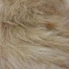 Fausse fourrure, fausse fourrure animaux, fourrure synthétique, fourrure synth. - Acheter du Tissu, acheter du tissu pas cher, acheter tissu, acheter du tissus, tissu pas cher, tissus pas cher, destockage tissus, destockage tissus pas cher, destockage de tissus pas cher, achat tissu, vente de tissus, vente de tissus en ligne, site de vente de tissus, vente de tissus au mètre, tissus au mètre, tissu au mètre original, tissu original, tissus originaux, coupon tissu gratuit, échantillon tissu gratuit, tissus au mètre pour vêtements, vente de tissus en ligne France, vente de tissus en ligne Paris, vente de tissus Paris, vente de tissus France, tissus au meilleur prix, tissus de qualité, promotion tissu, promotions tissus, mercerie, mercerie en ligne Fausse fourrure, fausse fourrure animaux, fourrure synthétique, fourrure synth. - Acheter du Tissu, acheter du tissu pas cher, acheter tissu, acheter du tissus, tissu pas cher, tissus pas cher, destockage tissus, destockage tissus pas cher, destockage de tissus pas cher, achat tissu, vente de tissus, vente de tissus en ligne, site de vente de tissus, vente de tissus au mètre, tissus au mètre, tissu au mètre original, tissu original, tissus originaux, coupon tissu gratuit, échantillon tissu gratuit, tissus au mètre pour vêtements, vente de tissus en ligne France, vente de tissus en ligne Paris, vente de tissus Paris, vente de tissus France, tissus au meilleur prix, tissus de qualité, promotion tissu, promotions tissus, mercerie, mercerie en ligne