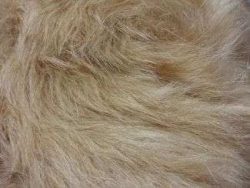 Fausse fourrure, fausse fourrure animaux, fourrure synthétique, fourrure synth. - Acheter du Tissu, acheter du tissu pas cher, acheter tissu, acheter du tissus, tissu pas cher, tissus pas cher, destockage tissus, destockage tissus pas cher, destockage de tissus pas cher, achat tissu, vente de tissus, vente de tissus en ligne, site de vente de tissus, vente de tissus au mètre, tissus au mètre, tissu au mètre original, tissu original, tissus originaux, coupon tissu gratuit, échantillon tissu gratuit, tissus au mètre pour vêtements, vente de tissus en ligne France, vente de tissus en ligne Paris, vente de tissus Paris, vente de tissus France, tissus au meilleur prix, tissus de qualité, promotion tissu, promotions tissus, mercerie, mercerie en ligne Fausse fourrure, fausse fourrure animaux, fourrure synthétique, fourrure synth. - Acheter du Tissu, acheter du tissu pas cher, acheter tissu, acheter du tissus, tissu pas cher, tissus pas cher, destockage tissus, destockage tissus pas cher, destockage de tissus pas cher, achat tissu, vente de tissus, vente de tissus en ligne, site de vente de tissus, vente de tissus au mètre, tissus au mètre, tissu au mètre original, tissu original, tissus originaux, coupon tissu gratuit, échantillon tissu gratuit, tissus au mètre pour vêtements, vente de tissus en ligne France, vente de tissus en ligne Paris, vente de tissus Paris, vente de tissus France, tissus au meilleur prix, tissus de qualité, promotion tissu, promotions tissus, mercerie, mercerie en ligne
