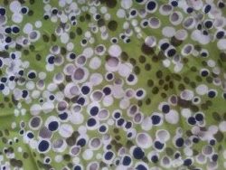 Tissus à pois, tissu à pois - Acheter du Tissu, acheter du tissu pas cher, acheter tissu, acheter du tissus, tissu pas cher, tissus pas cher, destockage tissus, destockage tissus pas cher, destockage de tissus pas cher, achat tissu, vente de tissus, vente de tissus en ligne, site de vente de tissus, vente de tissus au mètre, tissus au mètre, tissu au mètre original, tissu original, tissus originaux, coupon tissu gratuit, échantillon tissu gratuit, tissus au mètre pour vêtements, vente de tissus en ligne France, vente de tissus en ligne Paris, vente de tissus Paris, vente de tissus France, tissus au meilleur prix, tissus de qualité, promotion tissu, promotions tissus, mercerie, mercerie en ligne