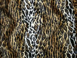 Fausse fourrure, fausse fourrure animaux, fourrure synthétique, fourrure synth. - Acheter du Tissu, acheter du tissu pas cher, acheter tissu, acheter du tissus, tissu pas cher, tissus pas cher, destockage tissus, destockage tissus pas cher, destockage de tissus pas cher, achat tissu, vente de tissus, vente de tissus en ligne, site de vente de tissus, vente de tissus au mètre, tissus au mètre, tissu au mètre original, tissu original, tissus originaux, coupon tissu gratuit, échantillon tissu gratuit, tissus au mètre pour vêtements, vente de tissus en ligne France, vente de tissus en ligne Paris, vente de tissus Paris, vente de tissus France, tissus au meilleur prix, tissus de qualité, promotion tissu, promotions tissus, mercerie, mercerie en ligne