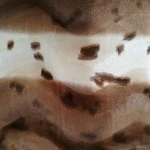 Fausse fourrure, fausse fourrure animaux, fourrure synthétique, fourrure synth. - Acheter du Tissu, acheter du tissu pas cher, acheter tissu, acheter du tissus, tissu pas cher, tissus pas cher, destockage tissus, destockage tissus pas cher, destockage de tissus pas cher, achat tissu, vente de tissus, vente de tissus en ligne, site de vente de tissus, vente de tissus au mètre, tissus au mètre, tissu au mètre original, tissu original, tissus originaux, coupon tissu gratuit, échantillon tissu gratuit, tissus au mètre pour vêtements, vente de tissus en ligne France, vente de tissus en ligne Paris, vente de tissus Paris, vente de tissus France, tissus au meilleur prix, tissus de qualité, promotion tissu, promotions tissus, mercerie, mercerie en ligne Fausse fourrure, fausse fourrure animaux, fourrure synthétique, fourrure synth. - Acheter du Tissu, acheter du tissu pas cher, acheter tissu, acheter du tissus, tissu pas cher, tissus pas cher, destockage tissus, destockage tissus pas cher, destockage de tissus pas cher, achat tissu, vente de tissus, vente de tissus en ligne, site de vente de tissus, vente de tissus au mètre, tissus au mètre, tissu au mètre original, tissu original, tissus originaux, coupon tissu gratuit, échantillon tissu gratuit, tissus au mètre pour vêtements, vente de tissus en ligne France, vente de tissus en ligne Paris, vente de tissus Paris, vente de tissus France, tissus au meilleur prix, tissus de qualité, promotion tissu, promotions tissus, mercerie, mercerie en ligne