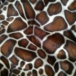 Fausse fourrure, fausse fourrure animaux, fourrure synthétique, fourrure synth. - Acheter du Tissu, acheter du tissu pas cher, acheter tissu, acheter du tissus, tissu pas cher, tissus pas cher, destockage tissus, destockage tissus pas cher, destockage de tissus pas cher, achat tissu, vente de tissus, vente de tissus en ligne, site de vente de tissus, vente de tissus au mètre, tissus au mètre, tissu au mètre original, tissu original, tissus originaux, coupon tissu gratuit, échantillon tissu gratuit, tissus au mètre pour vêtements, vente de tissus en ligne France, vente de tissus en ligne Paris, vente de tissus Paris, vente de tissus France, tissus au meilleur prix, tissus de qualité, promotion tissu, promotions tissus, mercerie, mercerie en ligne