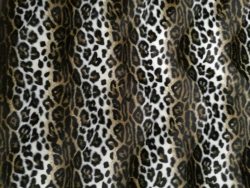 Fausse fourrure, fausse fourrure animaux, fourrure synthétique, fourrure synth. - Acheter du Tissu, acheter du tissu pas cher, acheter tissu, acheter du tissus, tissu pas cher, tissus pas cher, destockage tissus, destockage tissus pas cher, destockage de tissus pas cher, achat tissu, vente de tissus, vente de tissus en ligne, site de vente de tissus, vente de tissus au mètre, tissus au mètre, tissu au mètre original, tissu original, tissus originaux, coupon tissu gratuit, échantillon tissu gratuit, tissus au mètre pour vêtements, vente de tissus en ligne France, vente de tissus en ligne Paris, vente de tissus Paris, vente de tissus France, tissus au meilleur prix, tissus de qualité, promotion tissu, promotions tissus, mercerie, mercerie en ligne Fausse fourrure, fausse fourrure animaux, fourrure synthétique, fourrure synth. - Acheter du Tissu, acheter du tissu pas cher, acheter tissu, acheter du tissus, tissu pas cher, tissus pas cher, destockage tissus, destockage tissus pas cher, destockage de tissus pas cher, achat tissu, vente de tissus, vente de tissus en ligne, site de vente de tissus, vente de tissus au mètre, tissus au mètre, tissu au mètre original, tissu original, tissus originaux, coupon tissu gratuit, échantillon tissu gratuit, tissus au mètre pour vêtements, vente de tissus en ligne France, vente de tissus en ligne Paris, vente de tissus Paris, vente de tissus France, tissus au meilleur prix, tissus de qualité, promotion tissu, promotions tissus, mercerie, mercerie en ligne