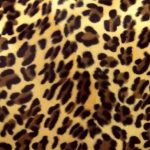 Fausse fourrure, fausse fourrure animaux, fourrure synthétique, fourrure synth. - Acheter du Tissu, acheter du tissu pas cher, acheter tissu, acheter du tissus, tissu pas cher, tissus pas cher, destockage tissus, destockage tissus pas cher, destockage de tissus pas cher, achat tissu, vente de tissus, vente de tissus en ligne, site de vente de tissus, vente de tissus au mètre, tissus au mètre, tissu au mètre original, tissu original, tissus originaux, coupon tissu gratuit, échantillon tissu gratuit, tissus au mètre pour vêtements, vente de tissus en ligne France, vente de tissus en ligne Paris, vente de tissus Paris, vente de tissus France, tissus au meilleur prix, tissus de qualité, promotion tissu, promotions tissus, mercerie, mercerie en ligne