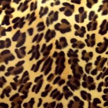 Fausse fourrure, fausse fourrure animaux, fourrure synthétique, fourrure synth. - Acheter du Tissu, acheter du tissu pas cher, acheter tissu, acheter du tissus, tissu pas cher, tissus pas cher, destockage tissus, destockage tissus pas cher, destockage de tissus pas cher, achat tissu, vente de tissus, vente de tissus en ligne, site de vente de tissus, vente de tissus au mètre, tissus au mètre, tissu au mètre original, tissu original, tissus originaux, coupon tissu gratuit, échantillon tissu gratuit, tissus au mètre pour vêtements, vente de tissus en ligne France, vente de tissus en ligne Paris, vente de tissus Paris, vente de tissus France, tissus au meilleur prix, tissus de qualité, promotion tissu, promotions tissus, mercerie, mercerie en ligne Fausse fourrure, fausse fourrure animaux, fourrure synthétique, fourrure synth. - Acheter du Tissu, acheter du tissu pas cher, acheter tissu, acheter du tissus, tissu pas cher, tissus pas cher, destockage tissus, destockage tissus pas cher, destockage de tissus pas cher, achat tissu, vente de tissus, vente de tissus en ligne, site de vente de tissus, vente de tissus au mètre, tissus au mètre, tissu au mètre original, tissu original, tissus originaux, coupon tissu gratuit, échantillon tissu gratuit, tissus au mètre pour vêtements, vente de tissus en ligne France, vente de tissus en ligne Paris, vente de tissus Paris, vente de tissus France, tissus au meilleur prix, tissus de qualité, promotion tissu, promotions tissus, mercerie, mercerie en ligne