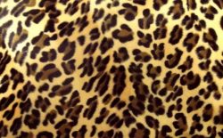 Fausse fourrure, fausse fourrure animaux, fourrure synthétique, fourrure synth. - Acheter du Tissu, acheter du tissu pas cher, acheter tissu, acheter du tissus, tissu pas cher, tissus pas cher, destockage tissus, destockage tissus pas cher, destockage de tissus pas cher, achat tissu, vente de tissus, vente de tissus en ligne, site de vente de tissus, vente de tissus au mètre, tissus au mètre, tissu au mètre original, tissu original, tissus originaux, coupon tissu gratuit, échantillon tissu gratuit, tissus au mètre pour vêtements, vente de tissus en ligne France, vente de tissus en ligne Paris, vente de tissus Paris, vente de tissus France, tissus au meilleur prix, tissus de qualité, promotion tissu, promotions tissus, mercerie, mercerie en ligne Fausse fourrure, fausse fourrure animaux, fourrure synthétique, fourrure synth. - Acheter du Tissu, acheter du tissu pas cher, acheter tissu, acheter du tissus, tissu pas cher, tissus pas cher, destockage tissus, destockage tissus pas cher, destockage de tissus pas cher, achat tissu, vente de tissus, vente de tissus en ligne, site de vente de tissus, vente de tissus au mètre, tissus au mètre, tissu au mètre original, tissu original, tissus originaux, coupon tissu gratuit, échantillon tissu gratuit, tissus au mètre pour vêtements, vente de tissus en ligne France, vente de tissus en ligne Paris, vente de tissus Paris, vente de tissus France, tissus au meilleur prix, tissus de qualité, promotion tissu, promotions tissus, mercerie, mercerie en ligne