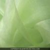 img_3213-1.jpg ORGANZA "CRISTAL" VERT